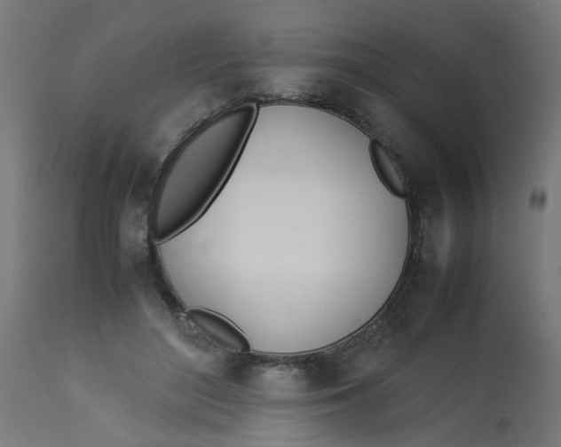 X0000113210500200910081321