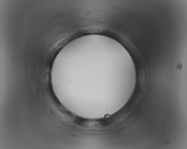 X0000113210501200910081321