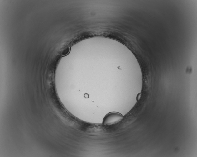 X0000113210503200910081321