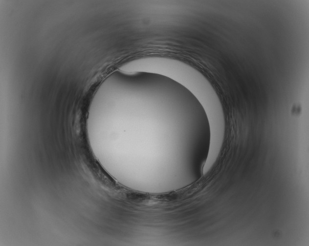 X0000113210504200910081321