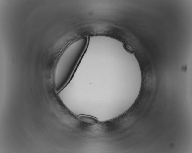 X0000113210505200910081321