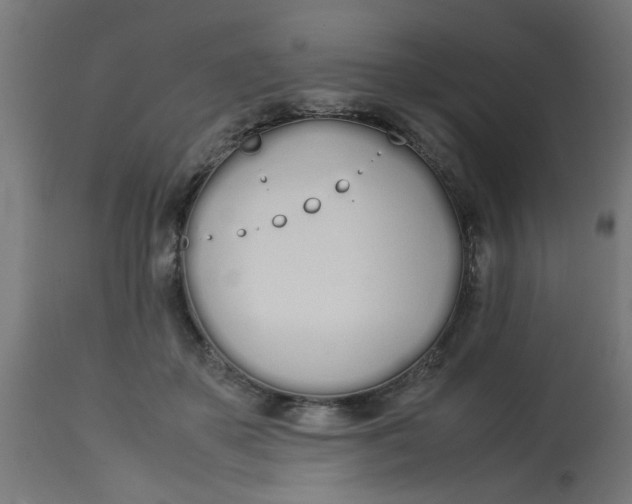 X0000113210507200910081321