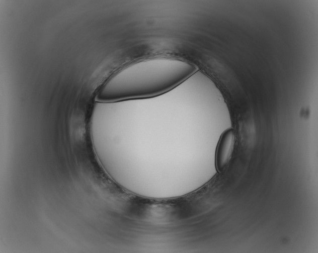 X0000113210508200910081321