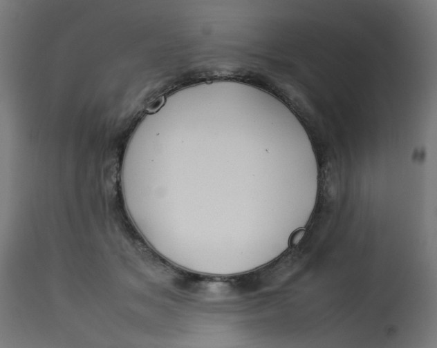 X0000113210509200910081321