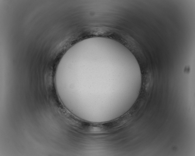 X0000113210510200910081321