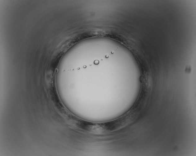 X0000113210511200910081321