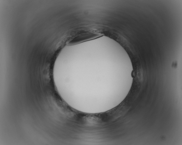 X0000113210512200910081321