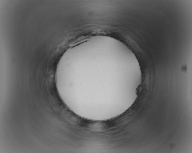 X0000113210513200910081320