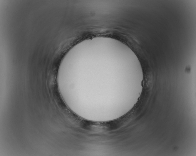 X0000113210515200910081320