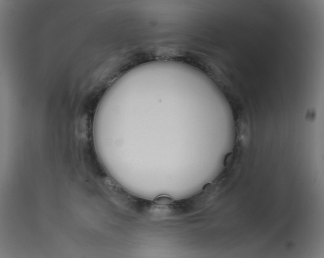 X0000113210519200910081320