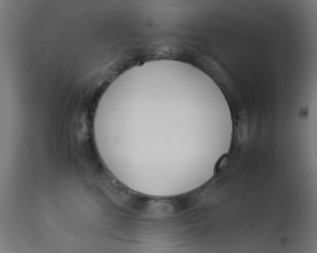 X0000113210520200910081320