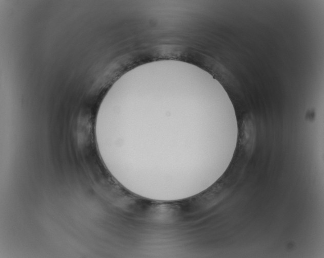 X0000113210522200910081320