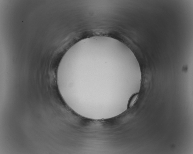 X0000113210523200910081320