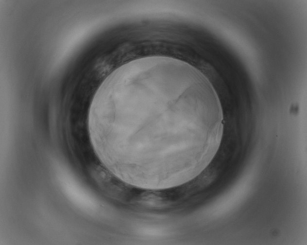 X0000113210526200910081320