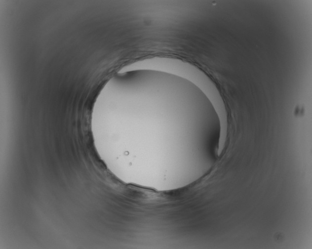 X0000113210528200910081320