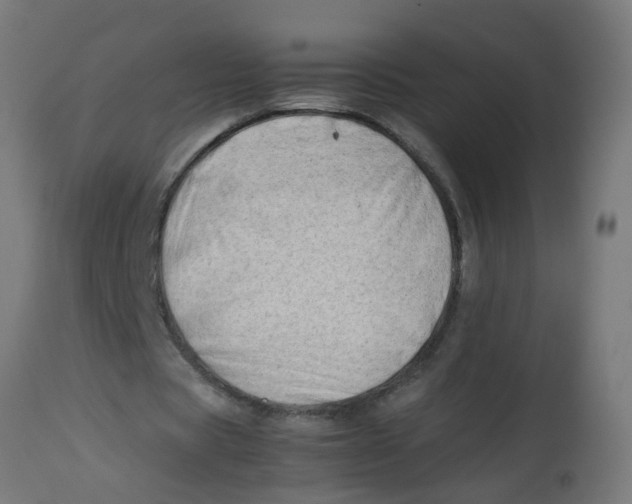 X0000113210529200910081319