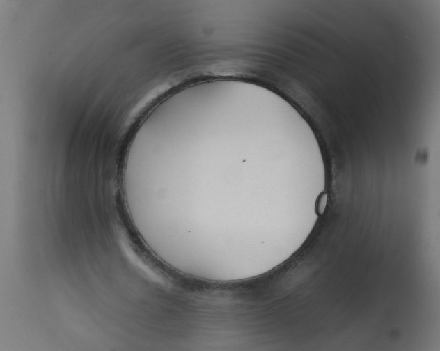 X0000113210530200910081319