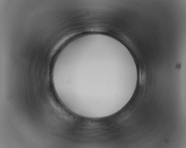 X0000113210531200910081319