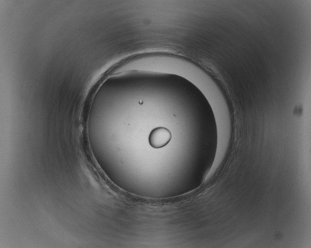 X0000113210532200910081319