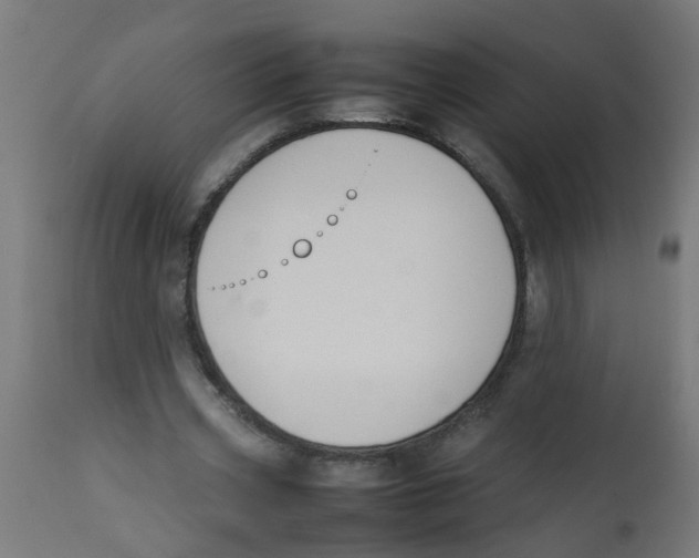 X0000113210533200910081320