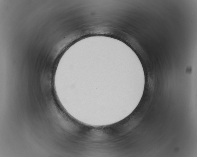 X0000113210534200910081320