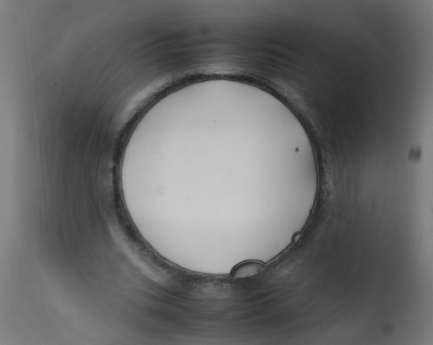 X0000113210535200910081320