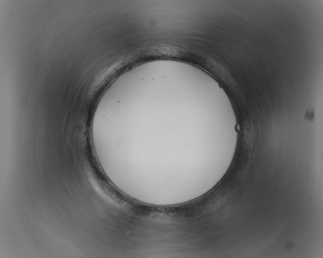 X0000113210538200910081320