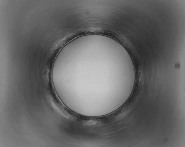 X0000113210542200910081320