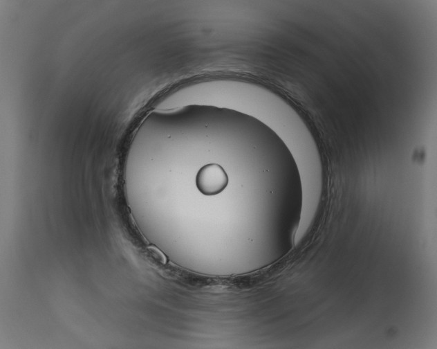 X0000113210544200910081320