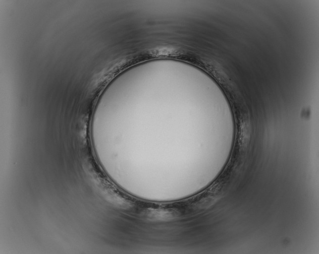 X0000113210545200910081320