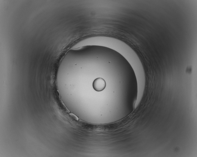 X0000113210546200910081320