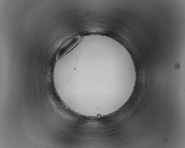 X0000113210547200910081320