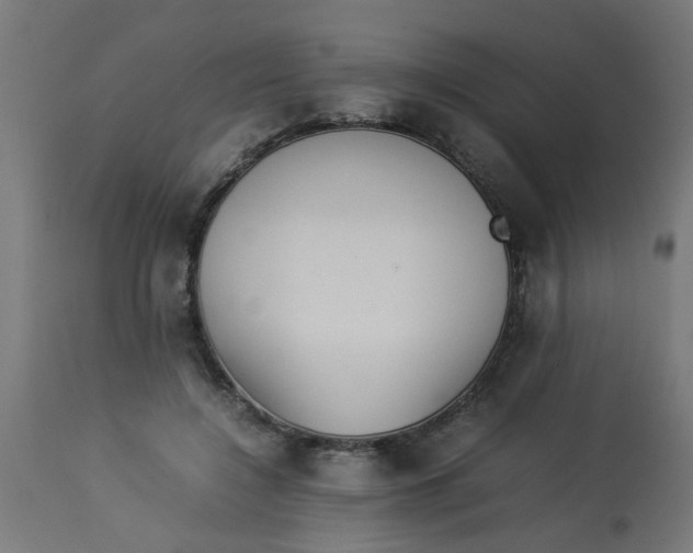 X0000113210548200910081320