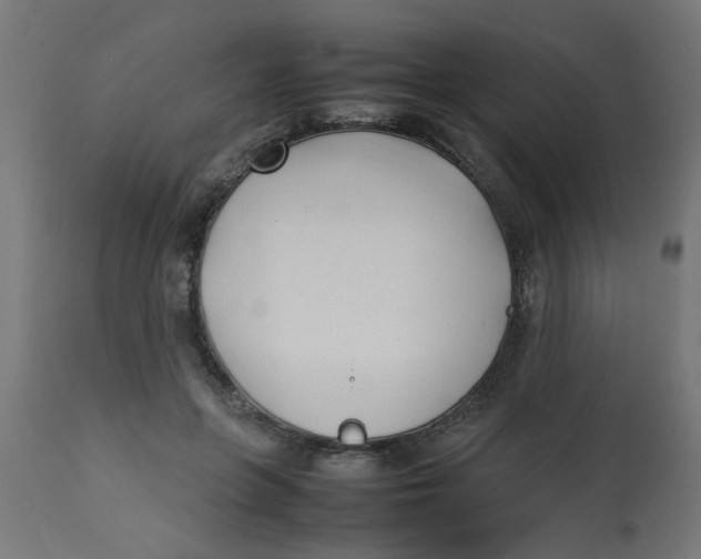 X0000113210551200910081320