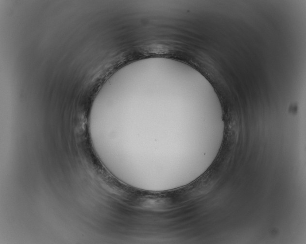 X0000113210555200910081320