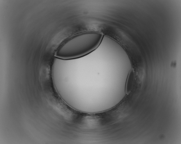 X0000113210556200910081320