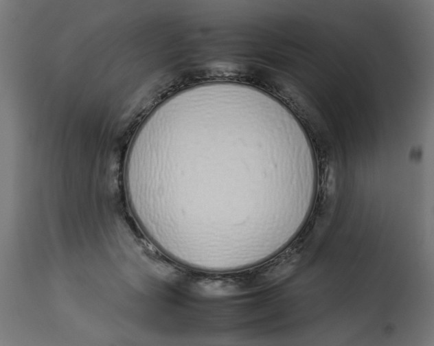 X0000113210557200910081320