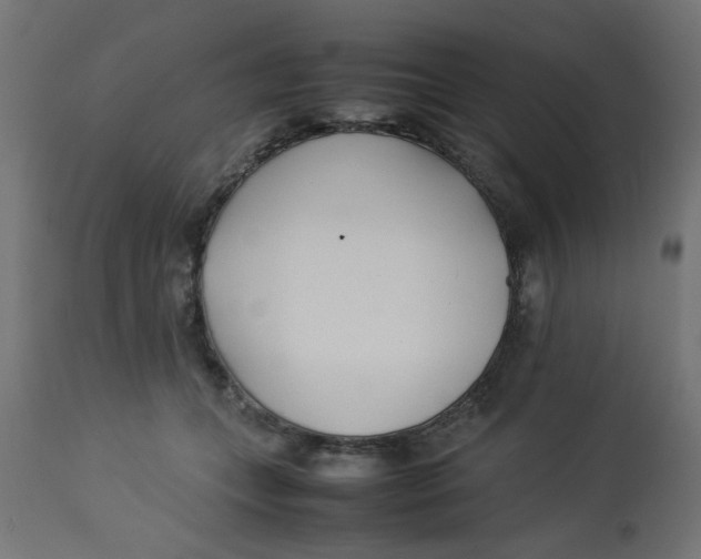 X0000113210559200910081320