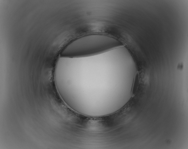 X0000113210560200910081320