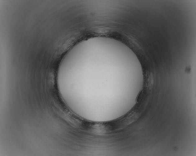 X0000113210562200910081320