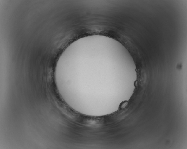 X0000113210563200910081320