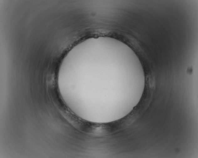 X0000113210564200910081320