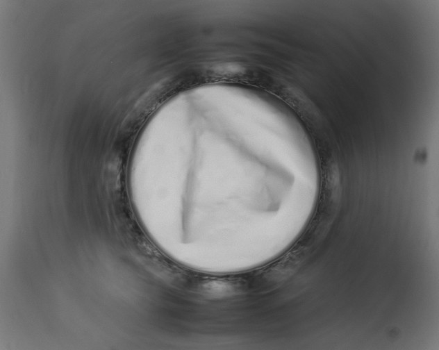 X0000113210565200910081320