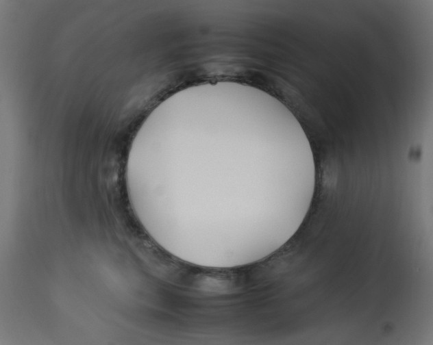 X0000113210567200910081320