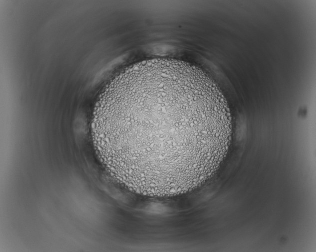 X0000113210569200910081320