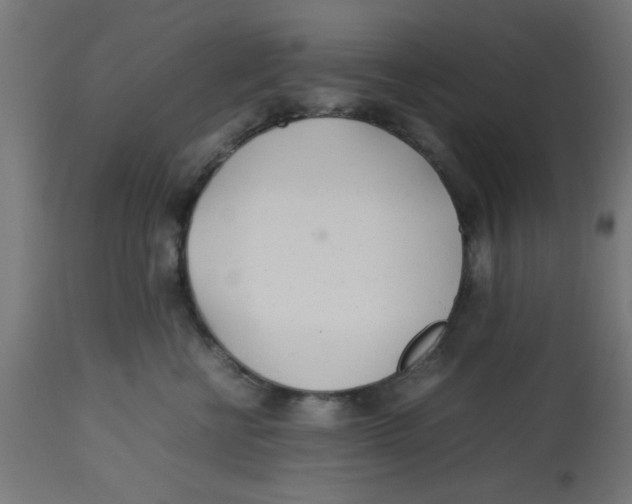 X0000113210570200910081320