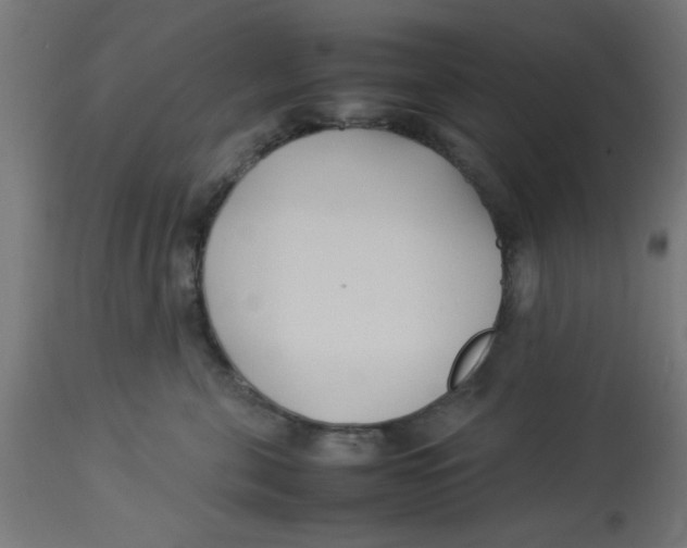 X0000113210571200910081320