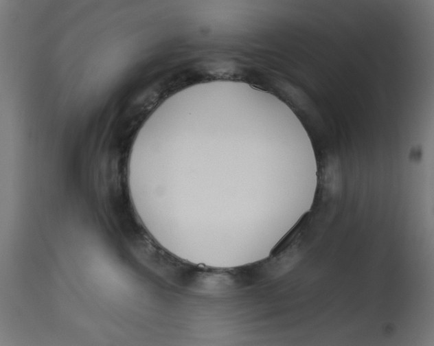 X0000113210572200910081320