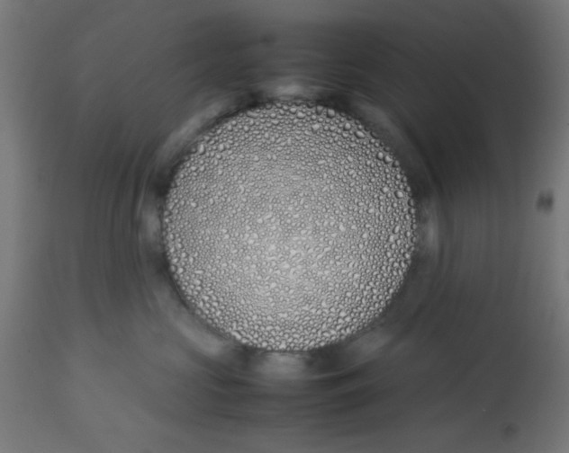 X0000113210573200910081320