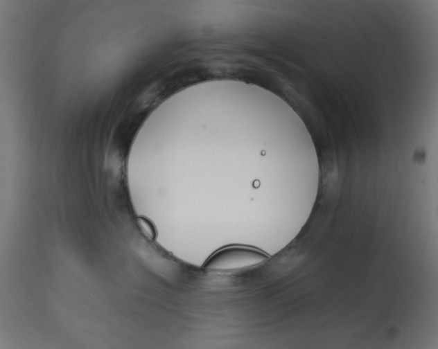 X0000113210574200910081320